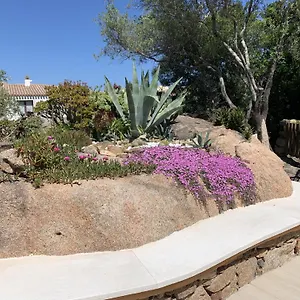L'olivastro 1 Porto Cervo